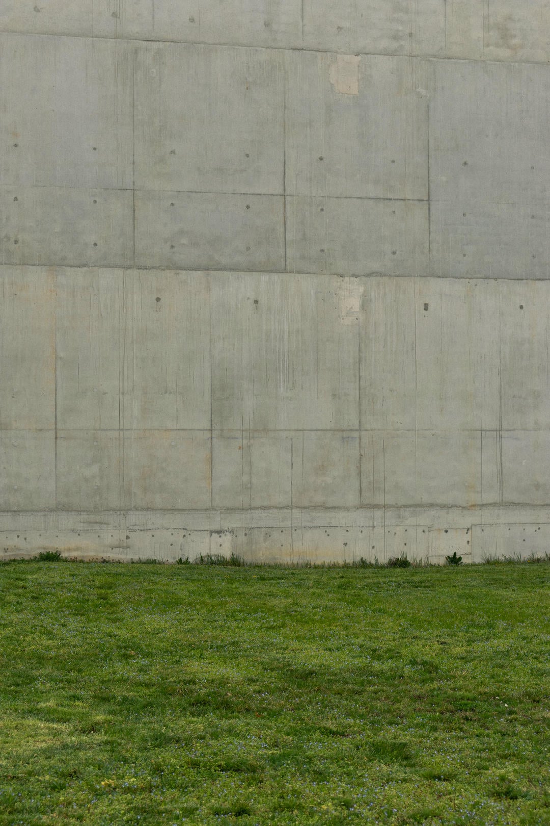 La nature et le mur