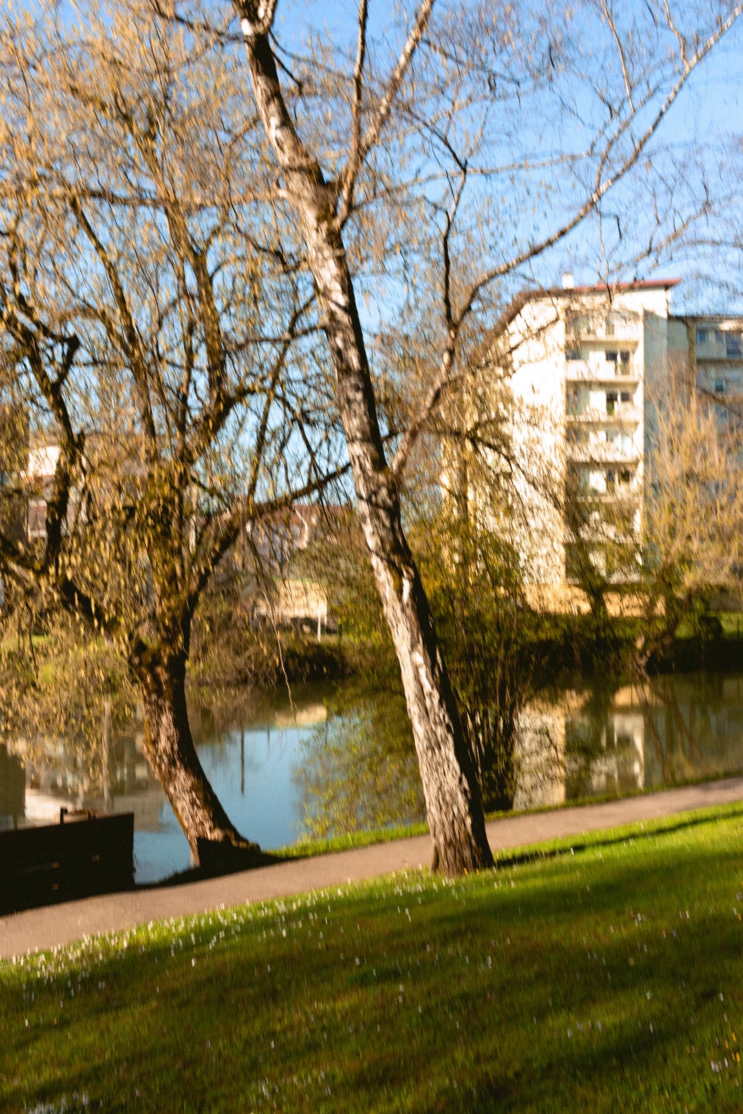 le parc l'eau et les fênetres