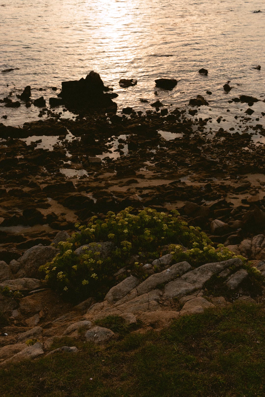 La mer et l'or