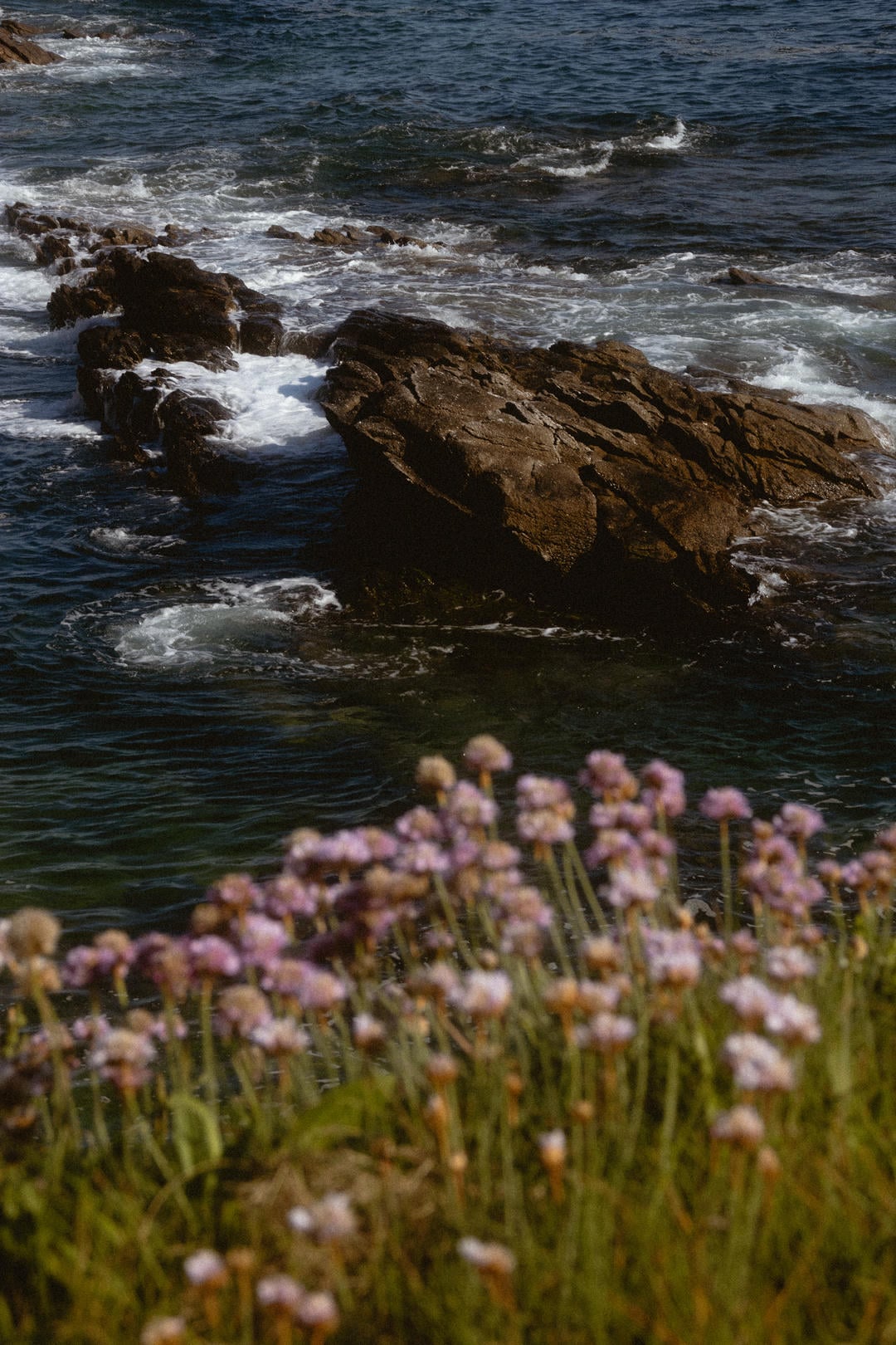 Encore de l'eau et fleurs